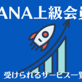 【ANA上級会員】スターアライアンス加盟以外でサービスが受けられる航空会社一覧