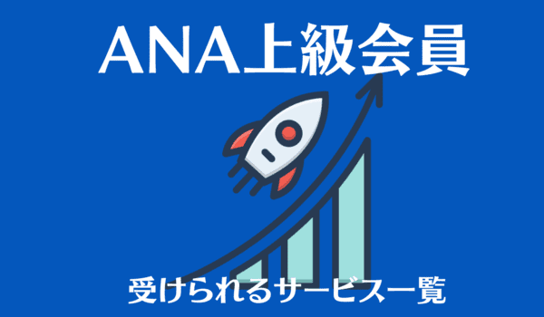 【ANA上級会員】スターアライアンス加盟以外でサービスが受けられる航空会社一覧