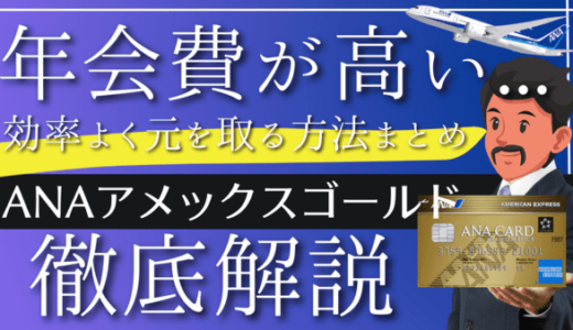 ANAアメックスゴールドの年会費34,100円は高い ?元を取る10個の方法と裏ワザ