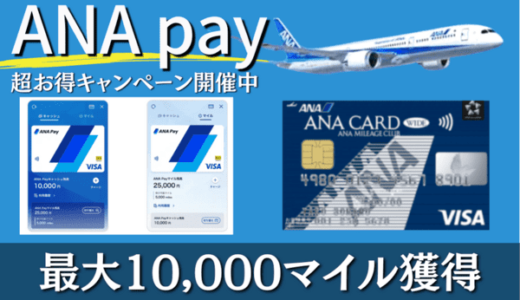 【超お得】ANApayキャンペーンで最大10,000マイル獲得のチャンス！